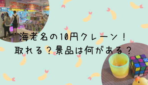 海老名のクレーンゲームのお店で遊んだ！10円で取れるアイテムは？