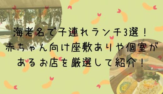 海老名で子連れランチ3選！赤ちゃん向け座敷ありや個室があるお店を厳選して紹介！