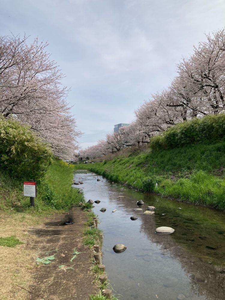 三川公園水遊び
