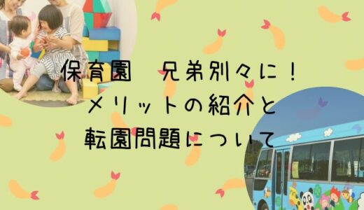 保育園兄弟別々の園のメリットとデメリット。転園させる？