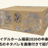 スナイデルホーム福袋2026ネタバレ