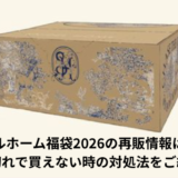 スナイデルホーム福袋再販