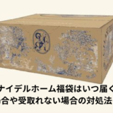 スナイデルホームいつ届く