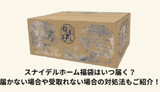 スナイデルホーム福袋はいつ届く？届かない場合や受取れない場合の対処法もご紹介！