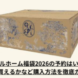 スナイデルホーム福袋予約